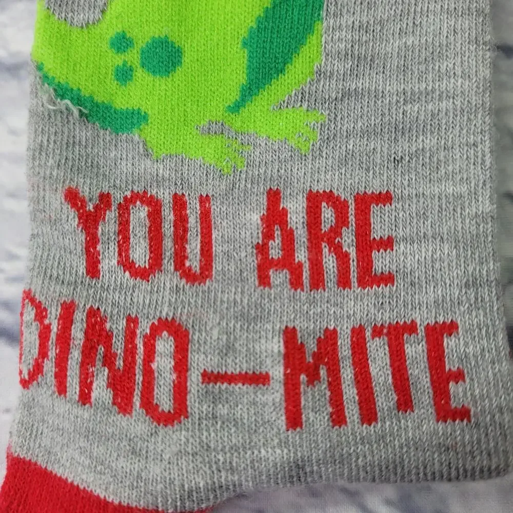NWT Valentine T-Rex Heart You Are Dino-Mite Novelty Crew Socks size 4-10